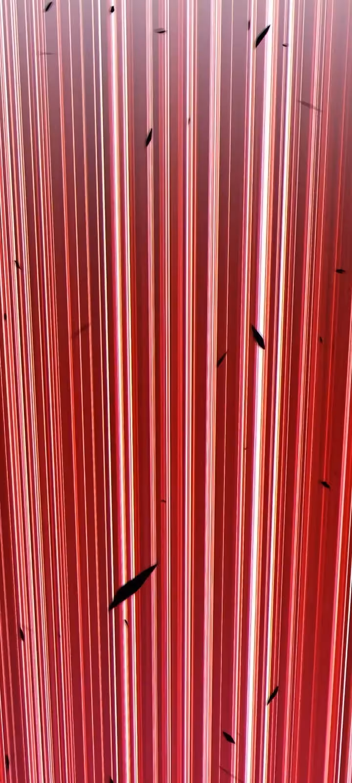 Página do Capítulo 10