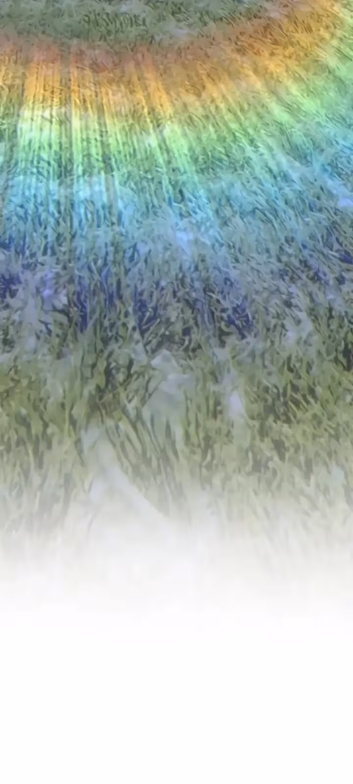 Página do Capítulo 10