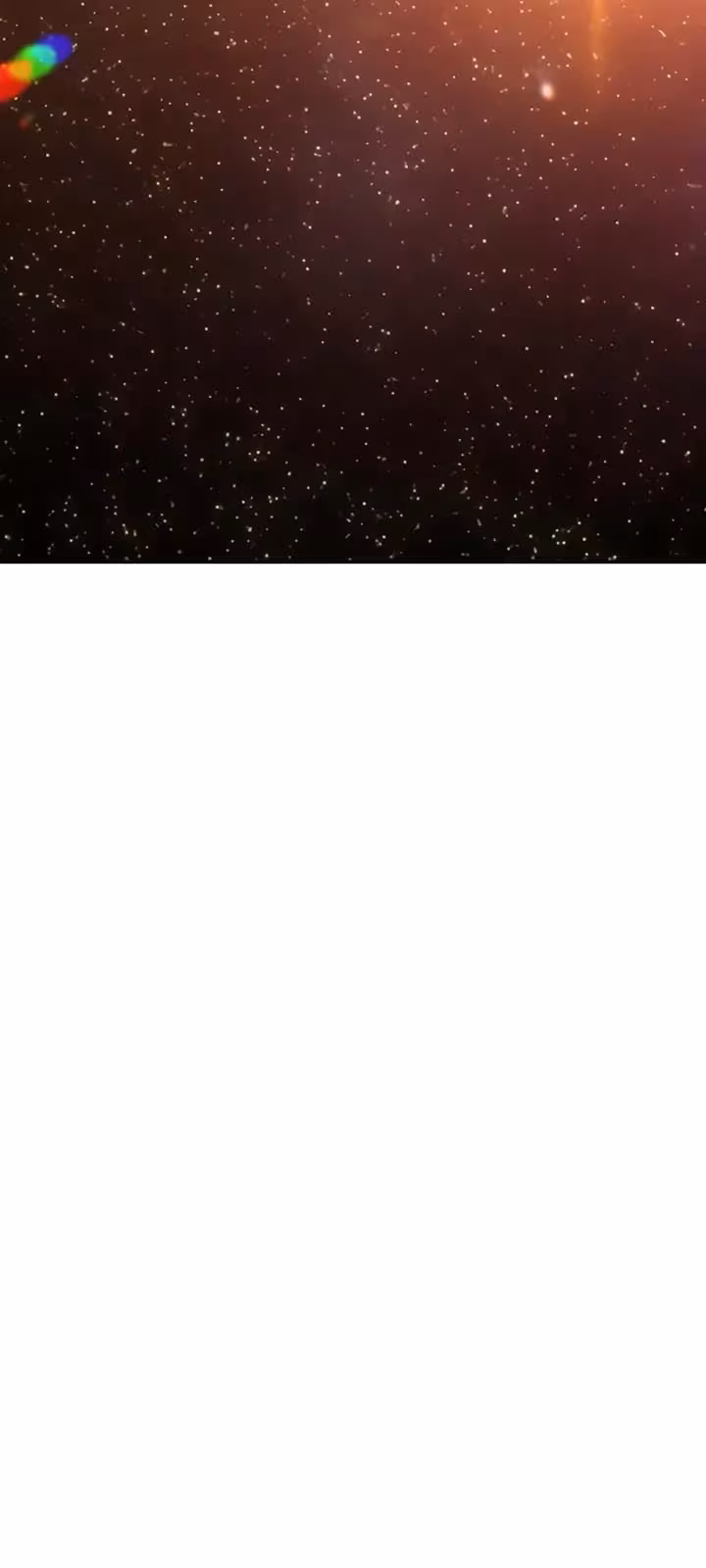 Página do Capítulo 11