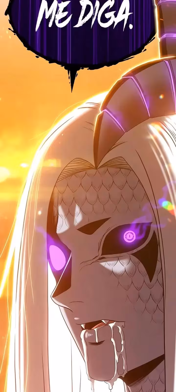 Página do Capítulo 13