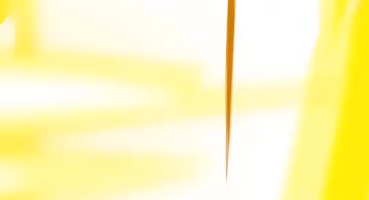 Página do Capítulo 14