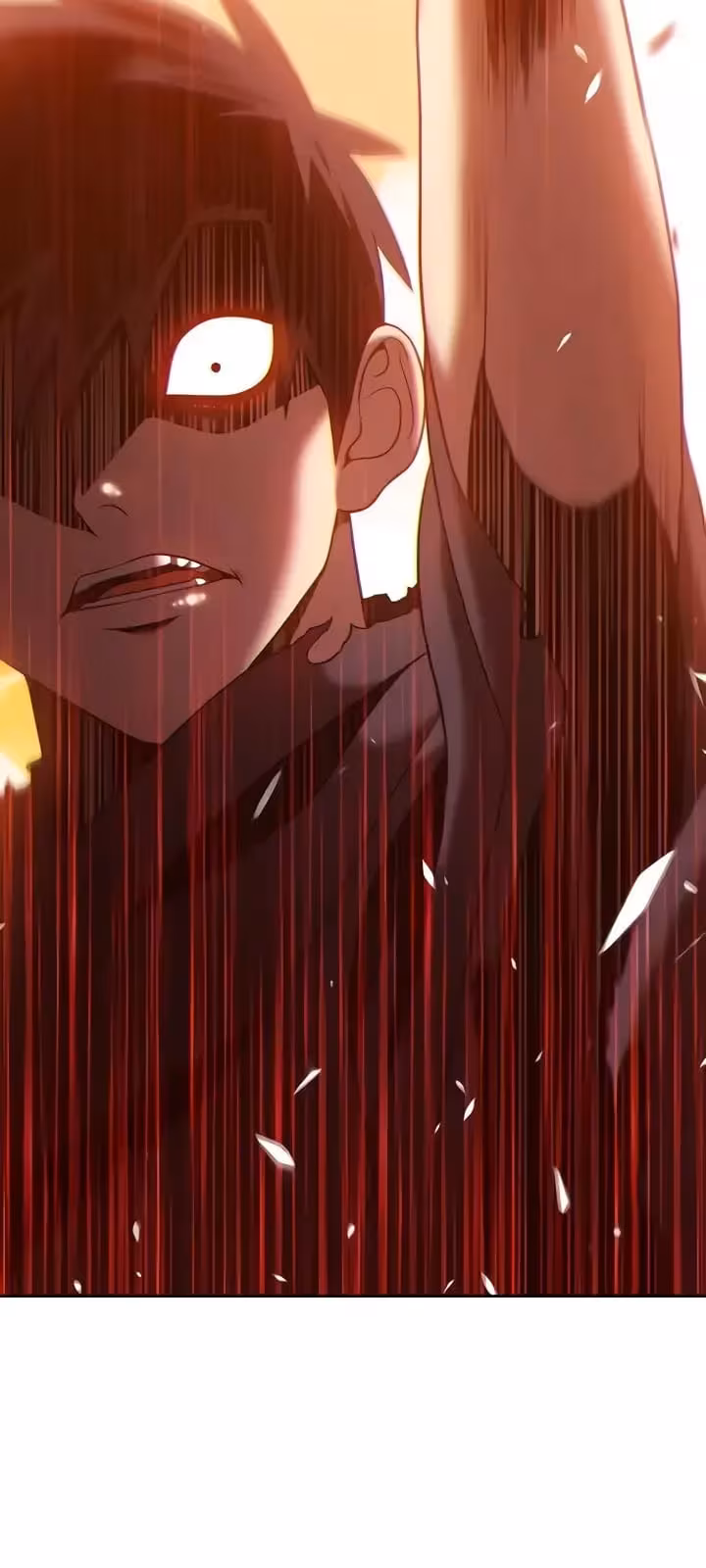 Página do Capítulo 14