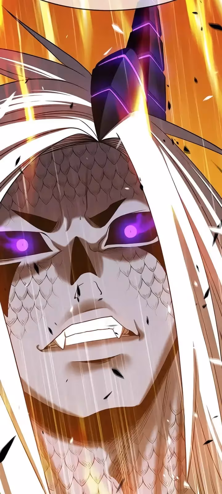 Página do Capítulo 14