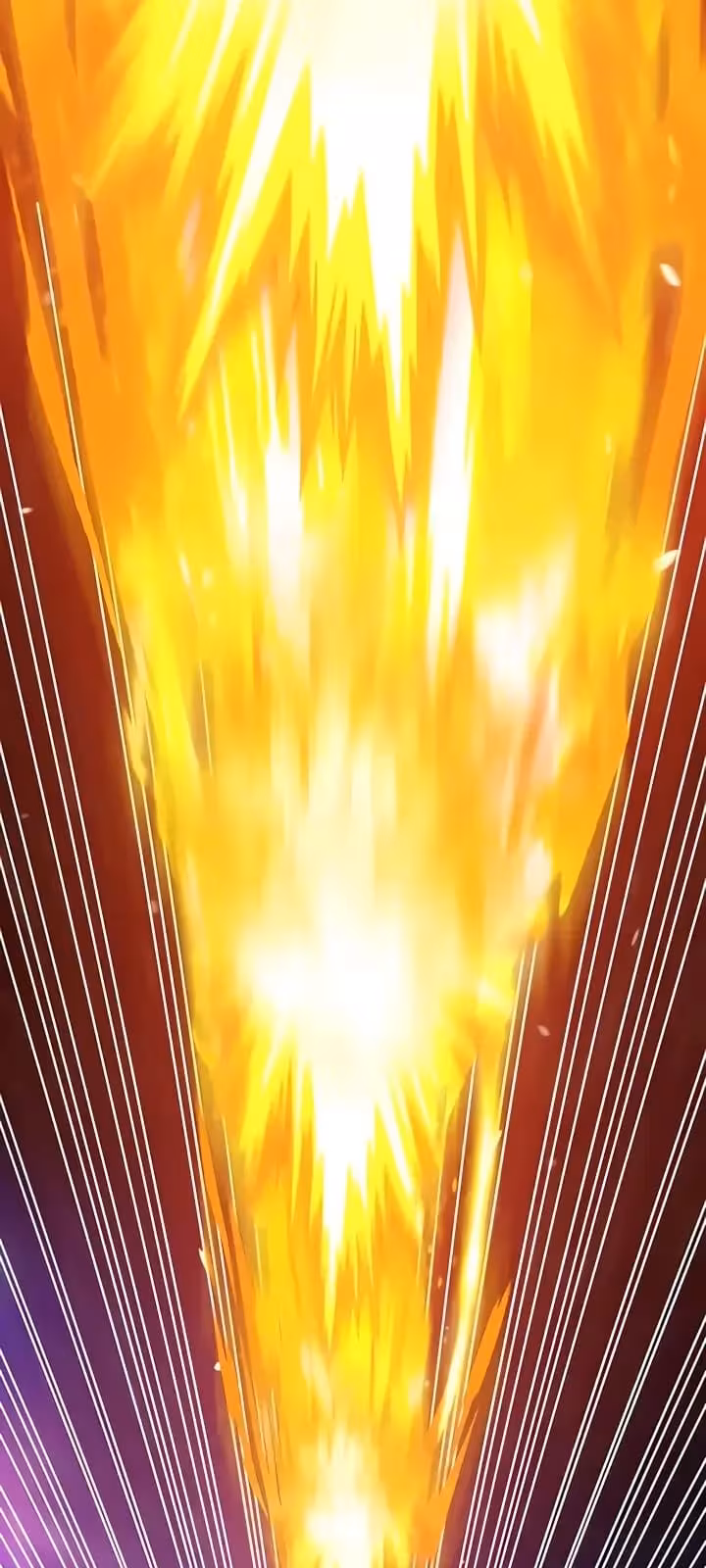 Página do Capítulo 14