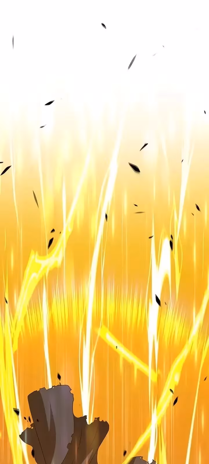 Página do Capítulo 15