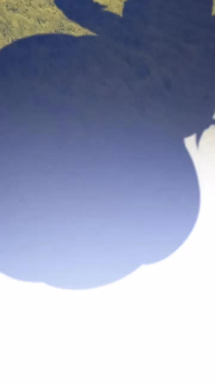 Página do Capítulo 15