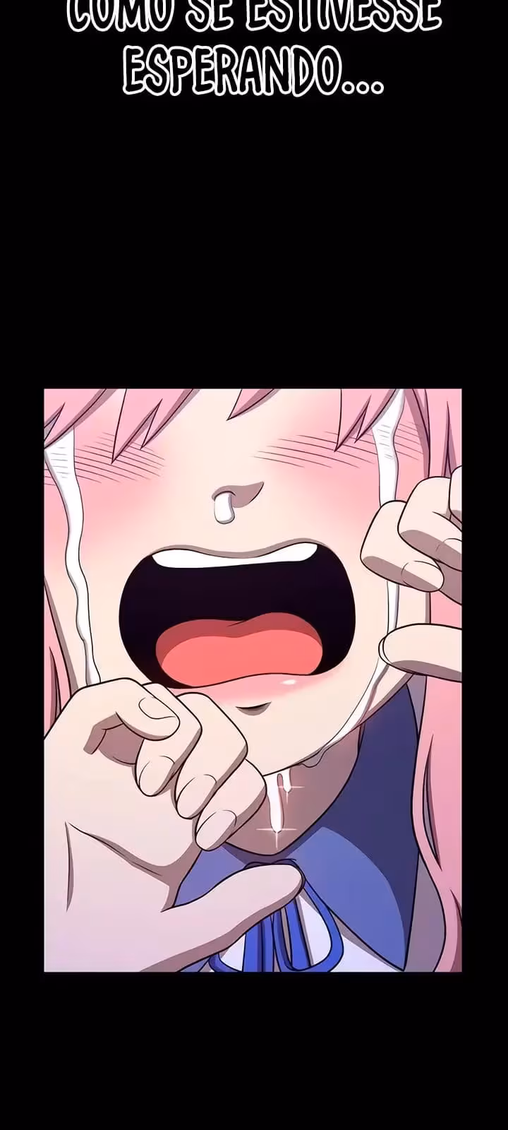 Página do Capítulo 17