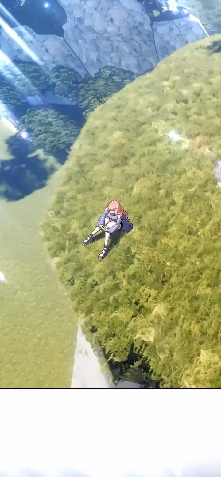 Página do Capítulo 17