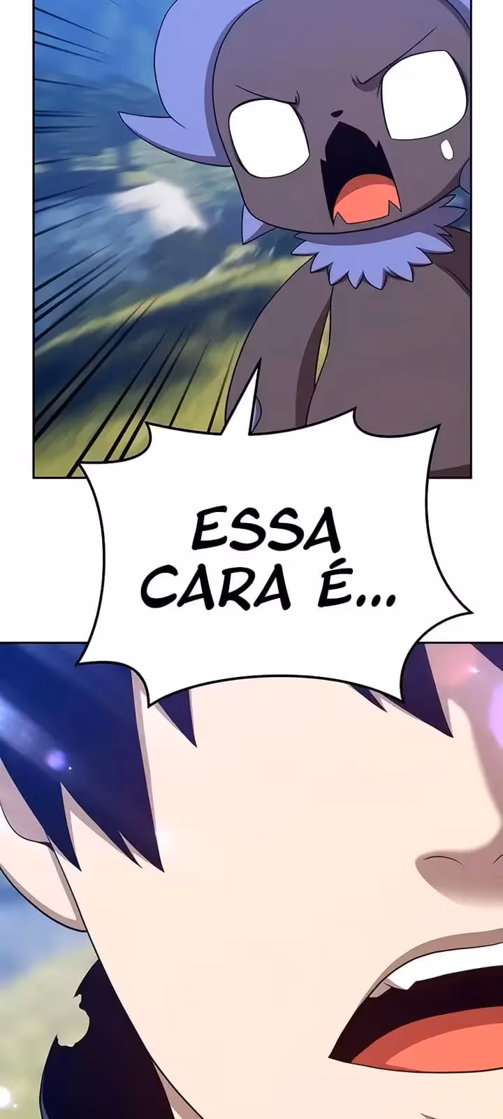 Página do Capítulo 17