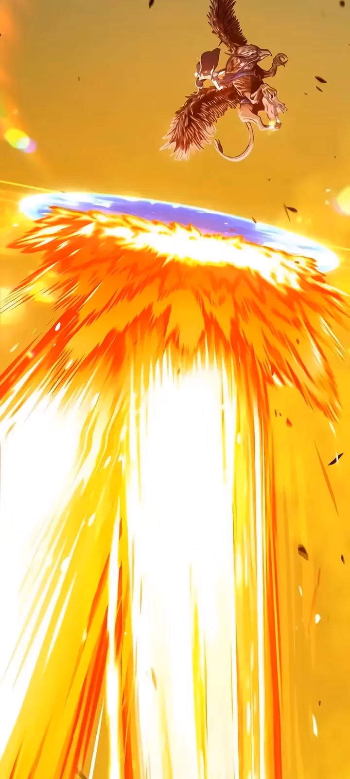 Página do Capítulo 17