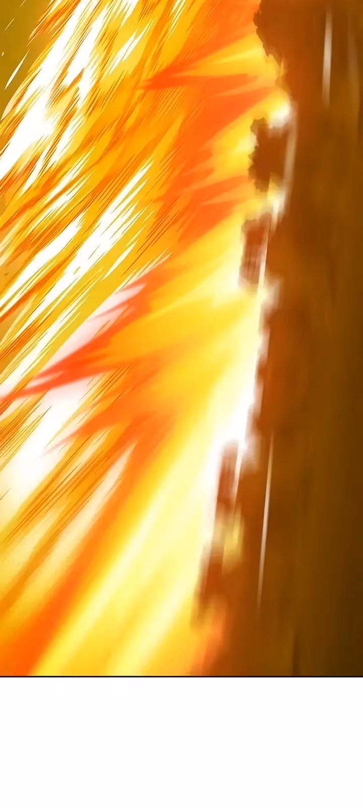 Página do Capítulo 17