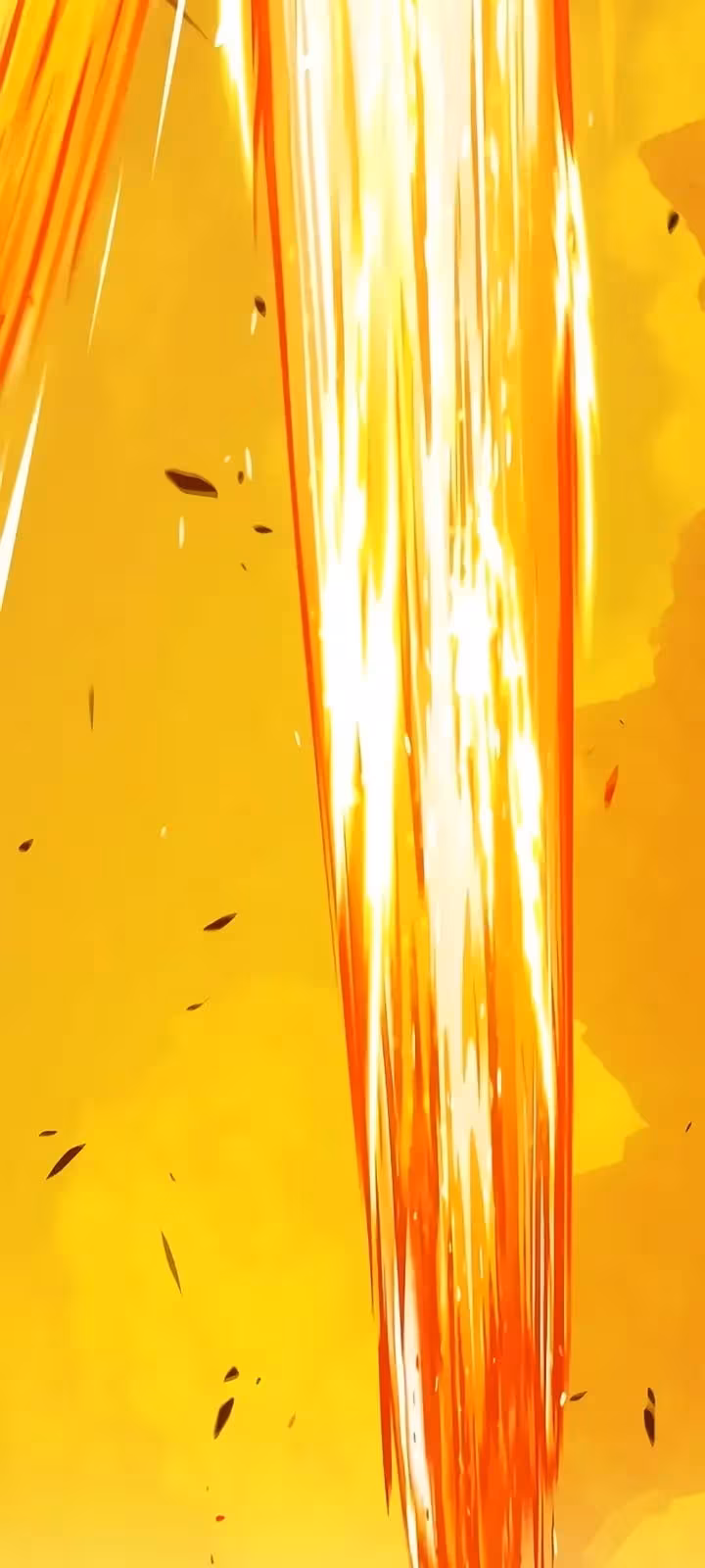 Página do Capítulo 17