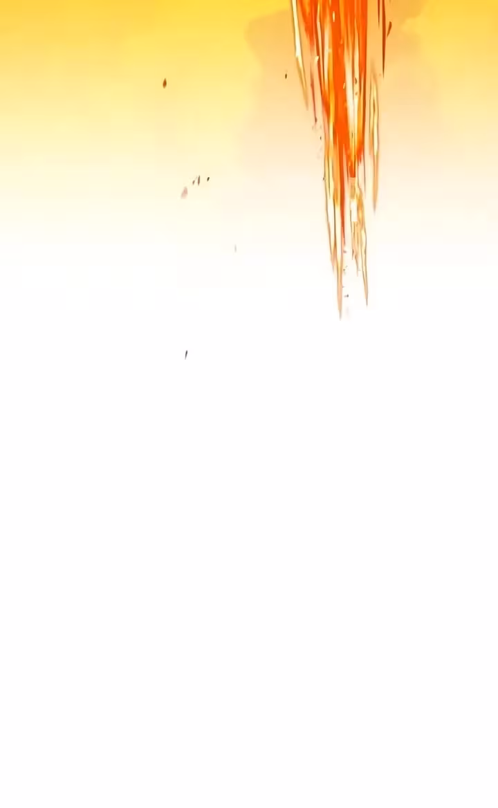 Página do Capítulo 17