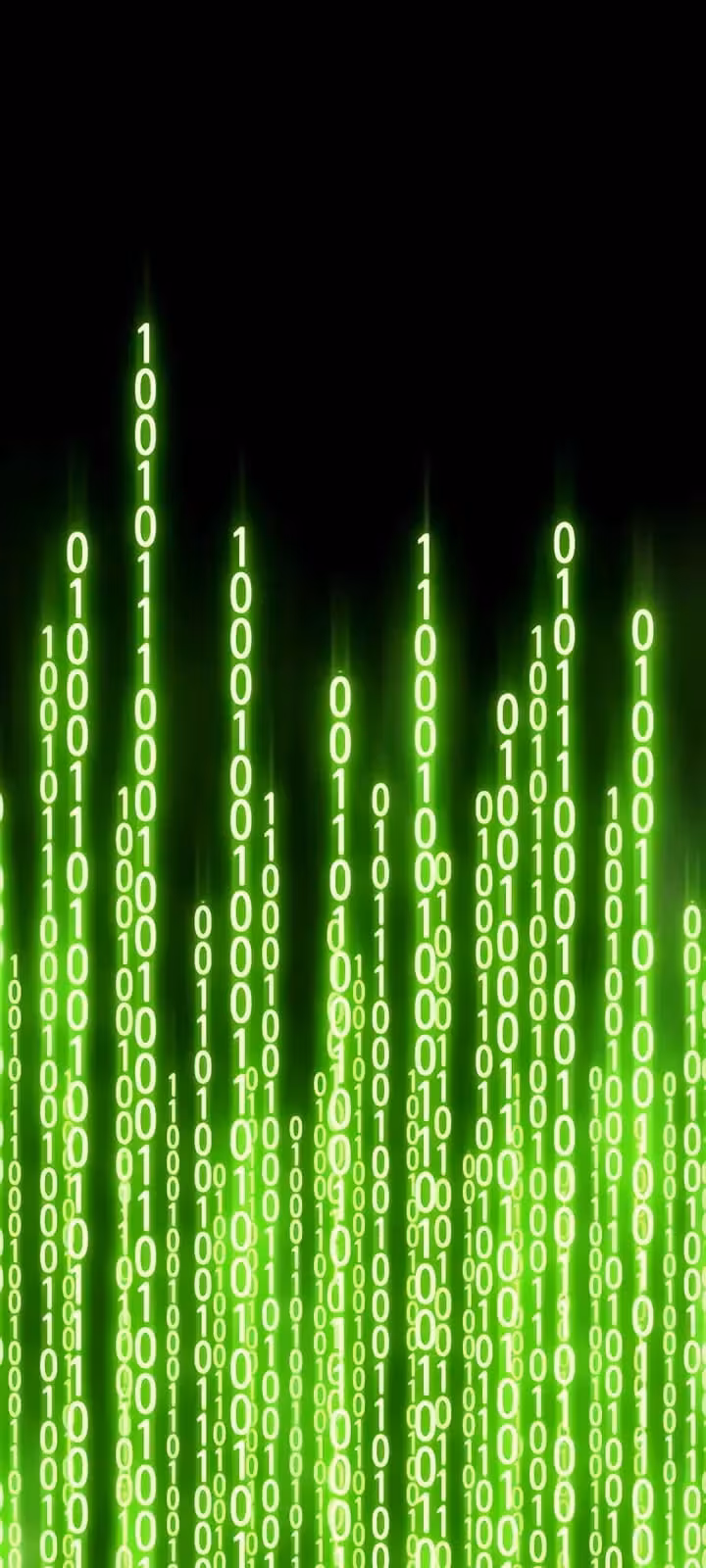 Página do Capítulo 20