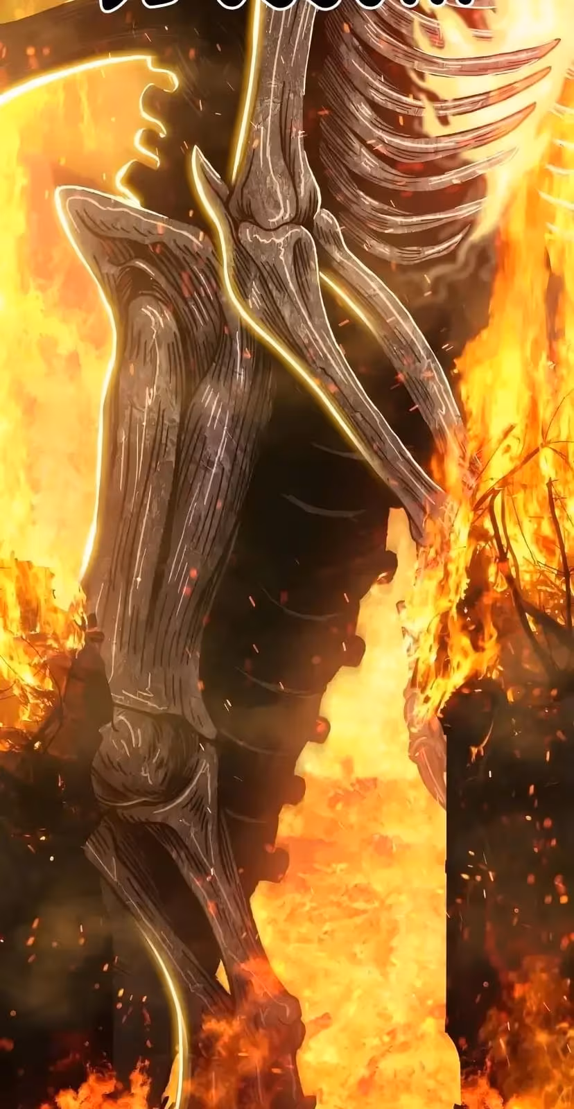 Página do Capítulo 29