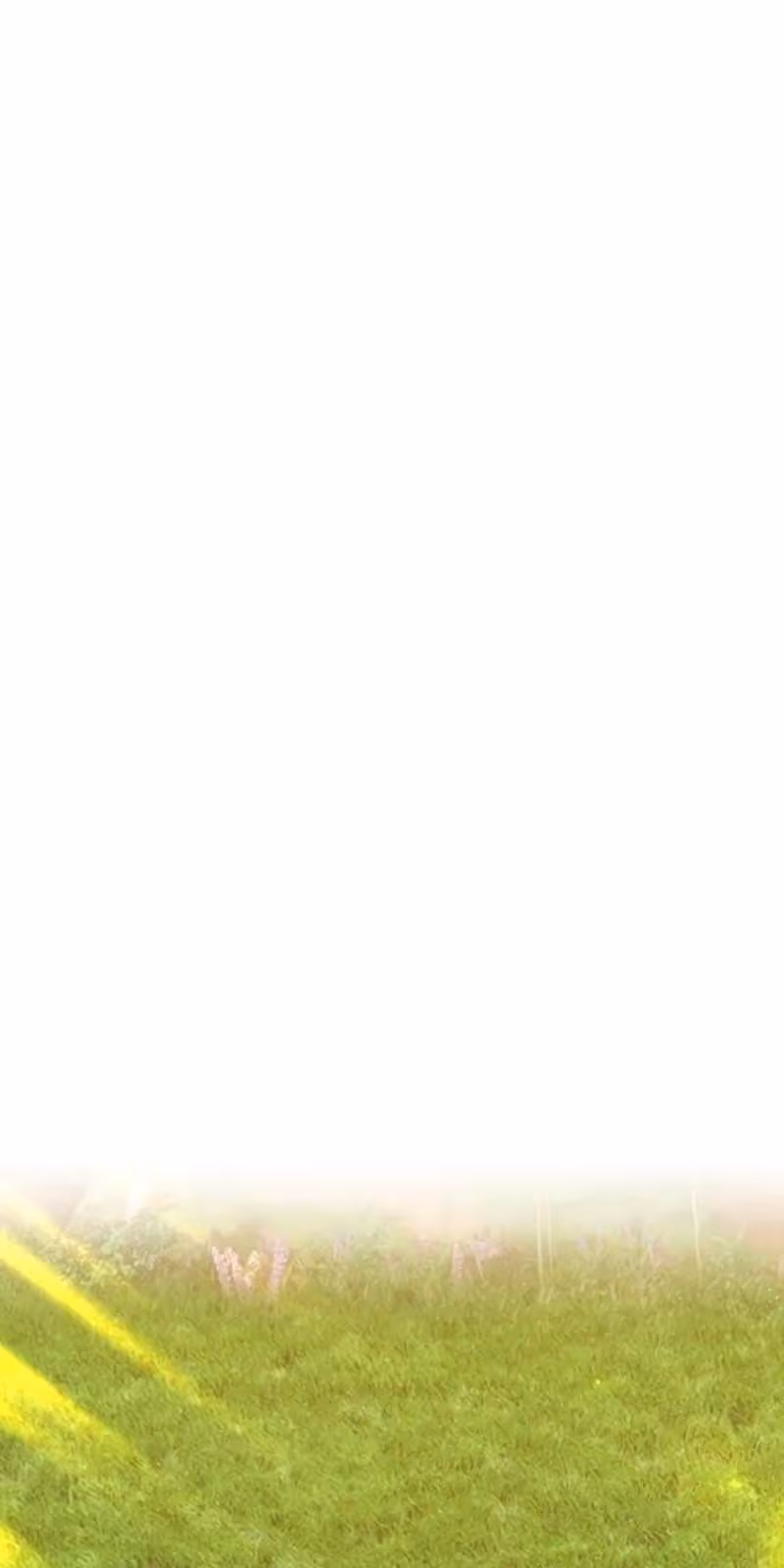 Página do Capítulo 38