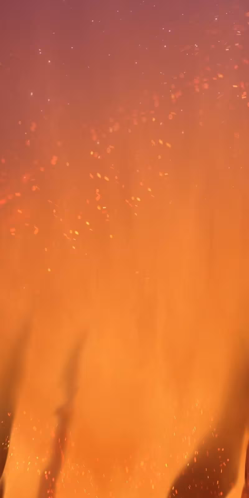 Página do Capítulo 55