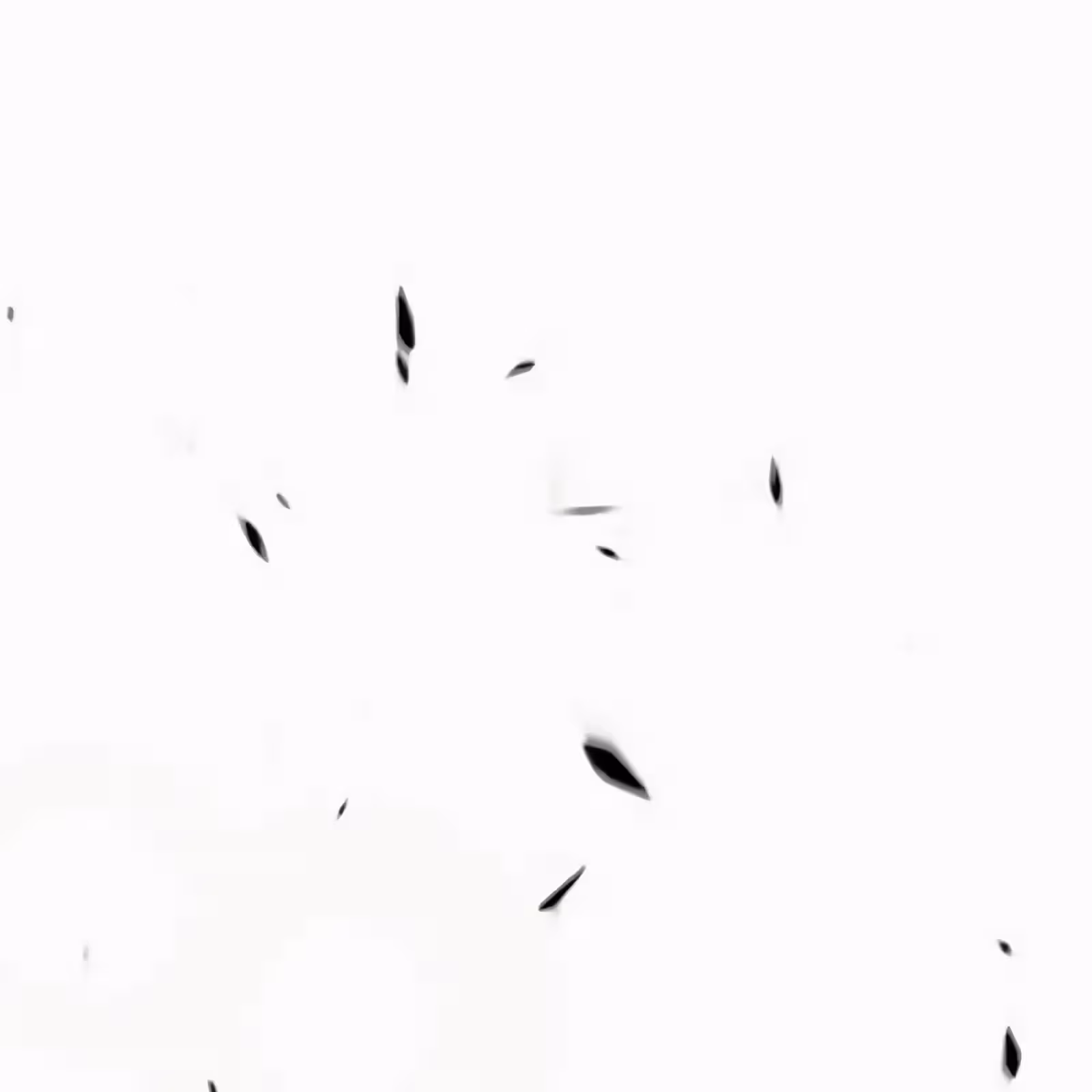 Página do Capítulo 56