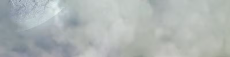 Página do Capítulo 61