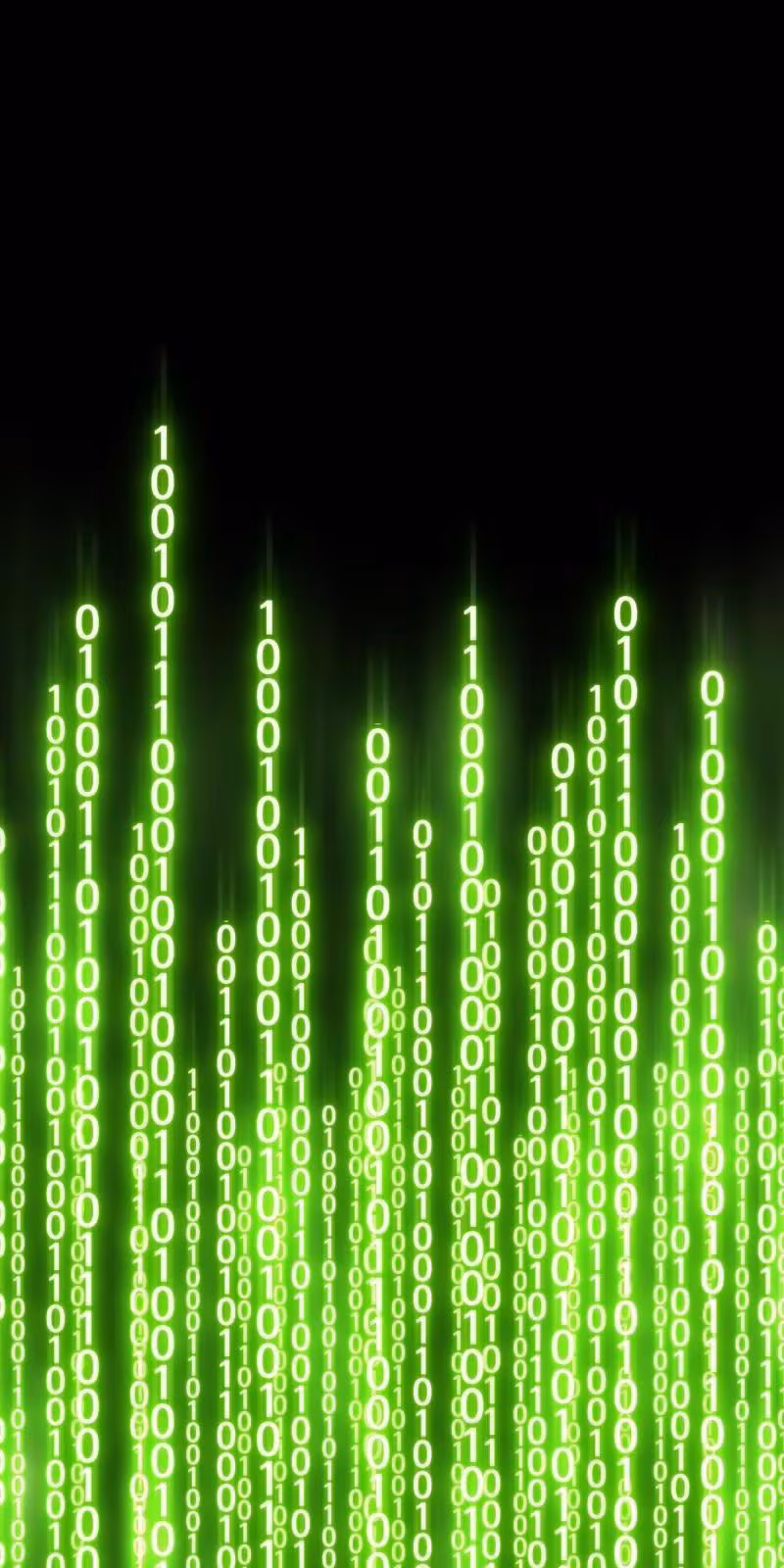 Página do Capítulo 61