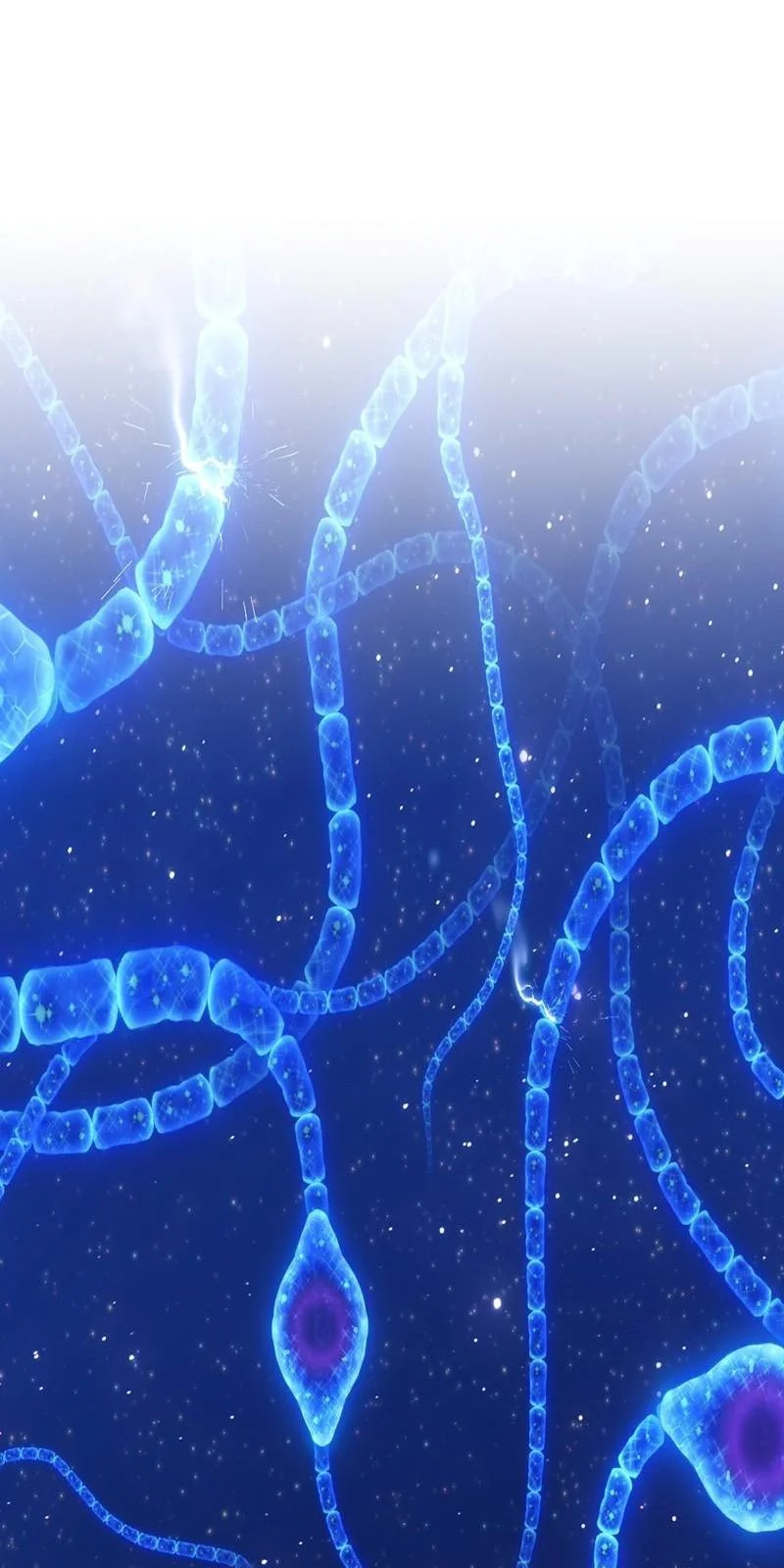 Página do Capítulo 64