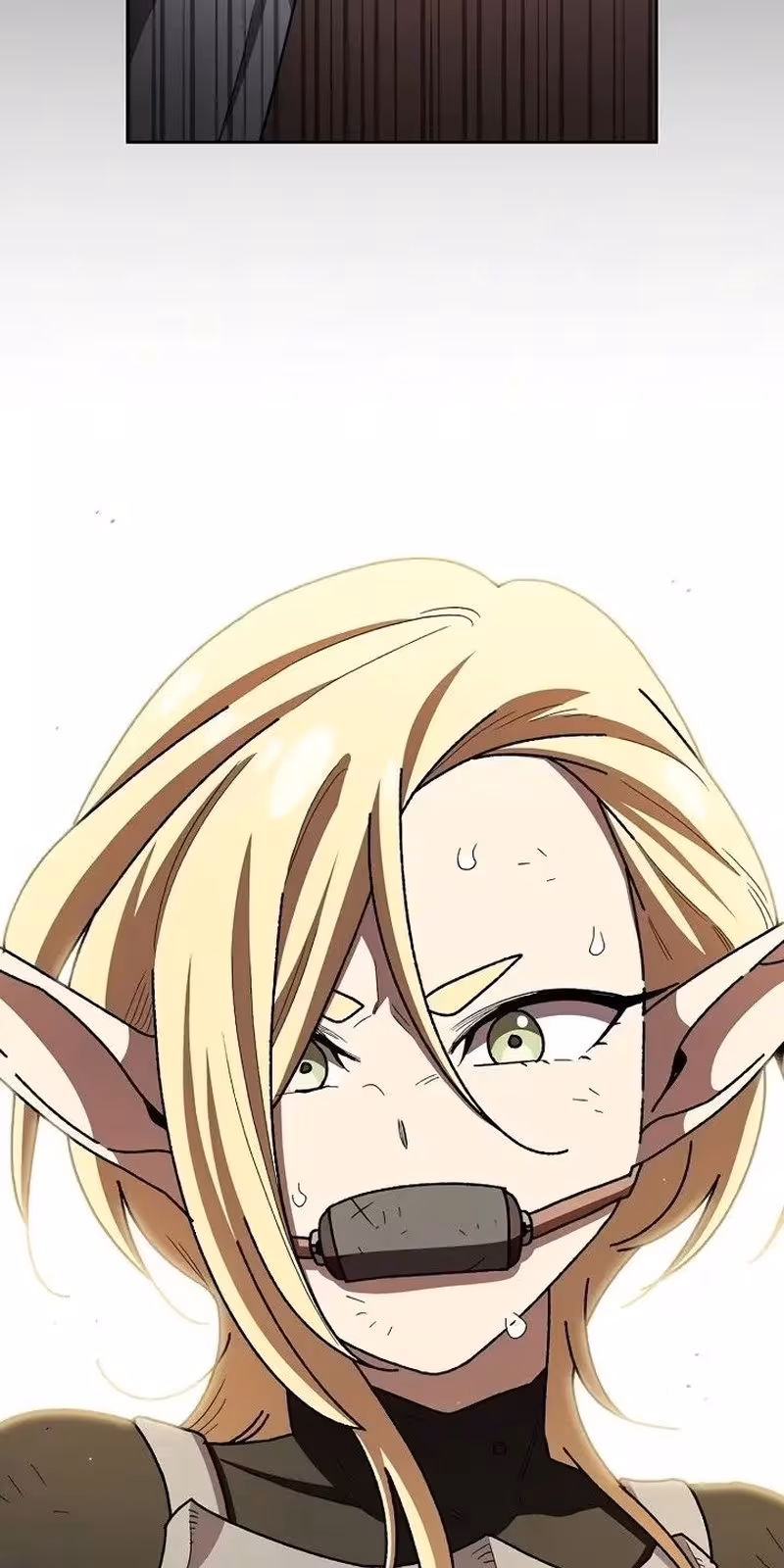 Página do Capítulo 147