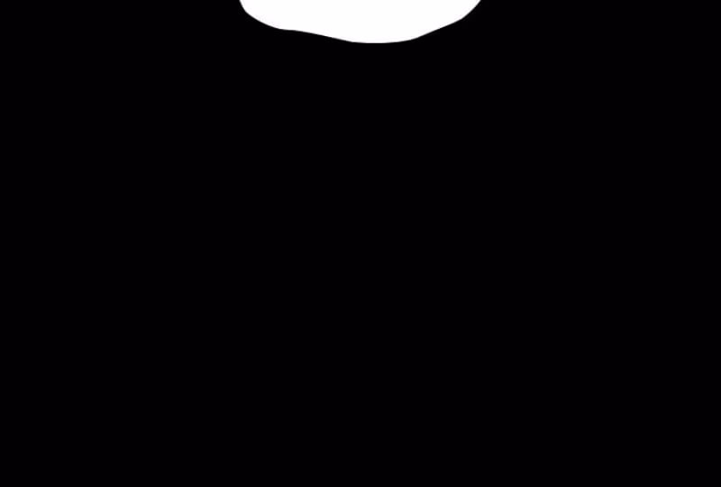 Página do Capítulo 17