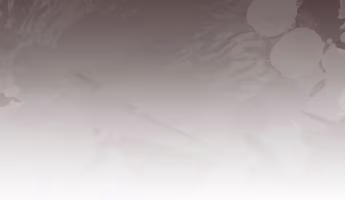 Página do Capítulo 170