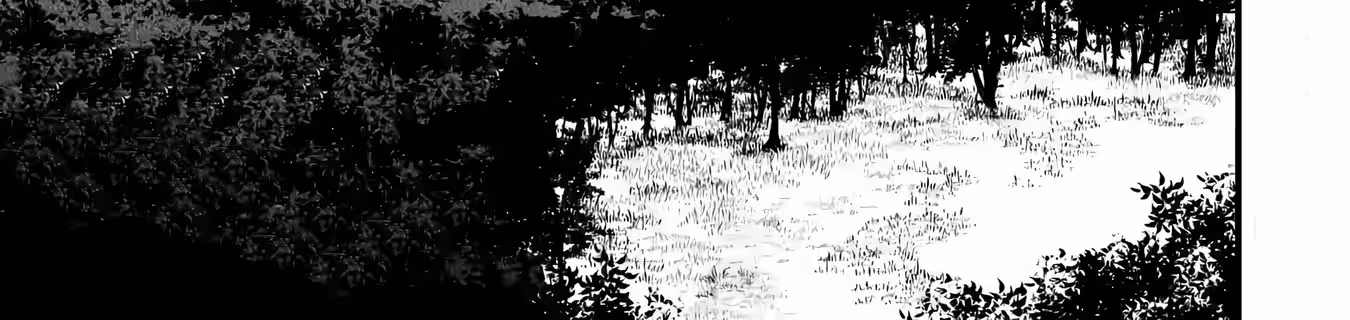 Página do Capítulo 09