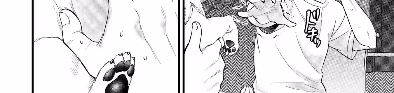 Página do Capítulo 16