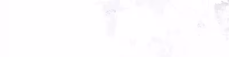 Página do Capítulo 24