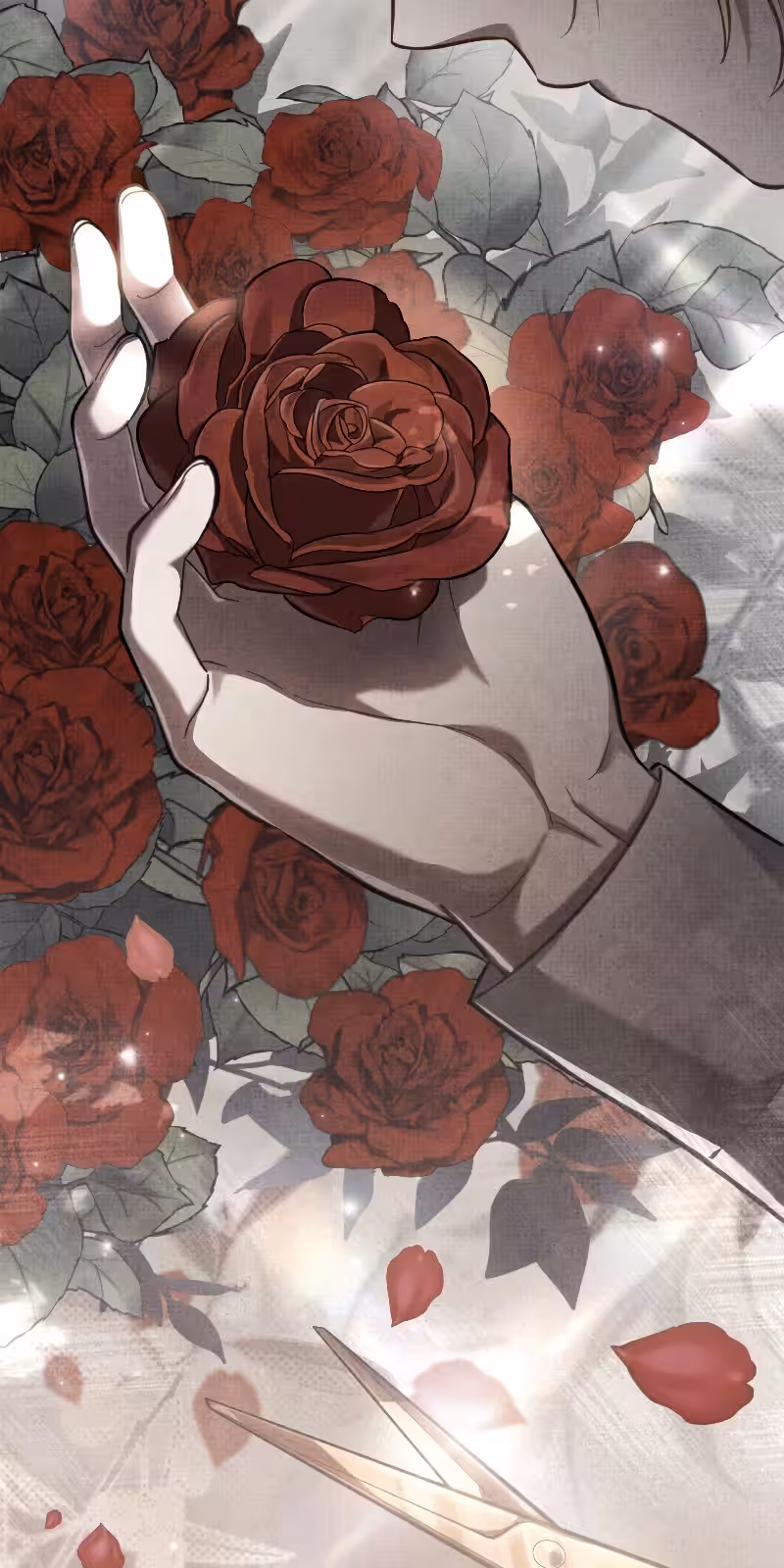 Página do Capítulo 25