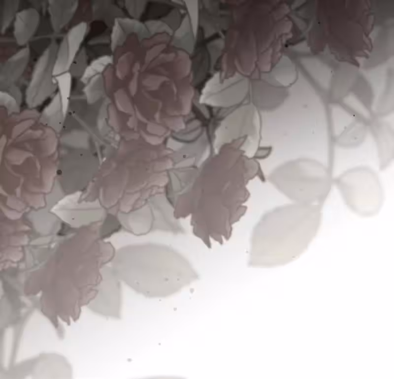 Página do Capítulo 47