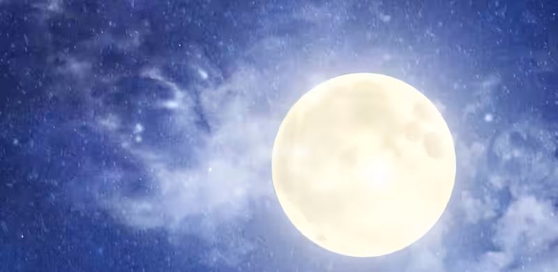 Página do Capítulo 49