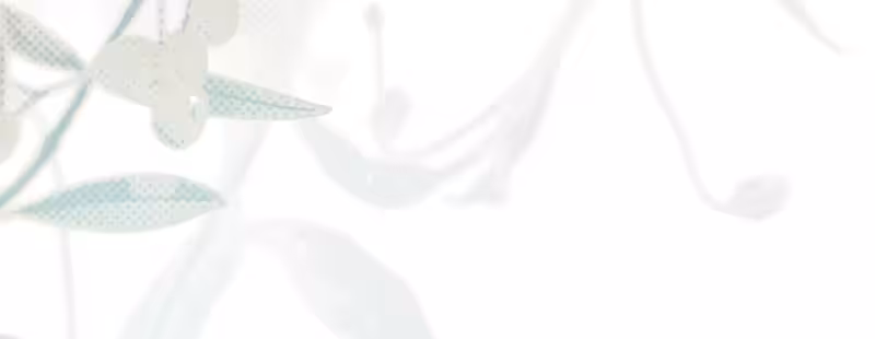 Página do Capítulo 58