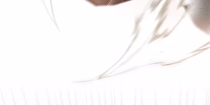 Página do Capítulo 58