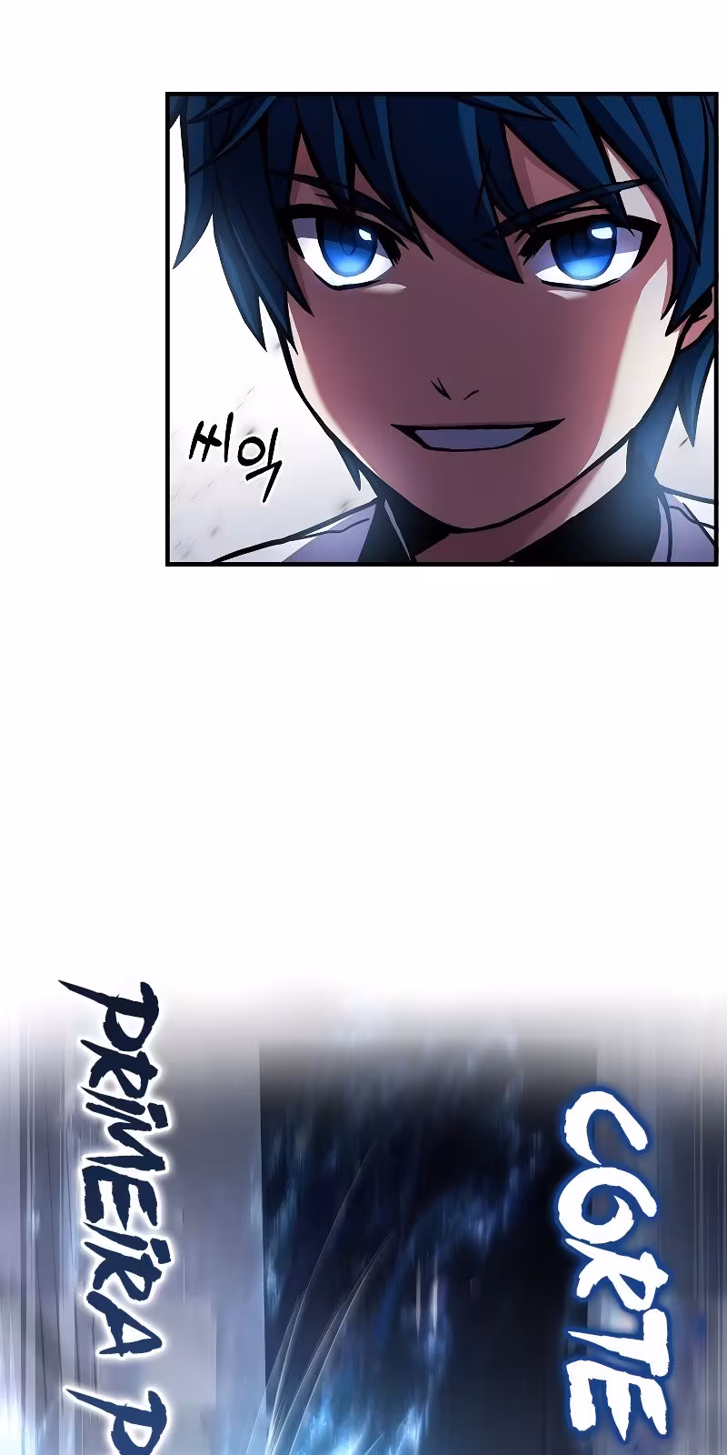 Página do Capítulo 11