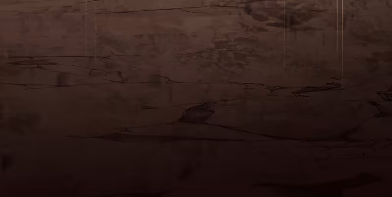 Página do Capítulo 166