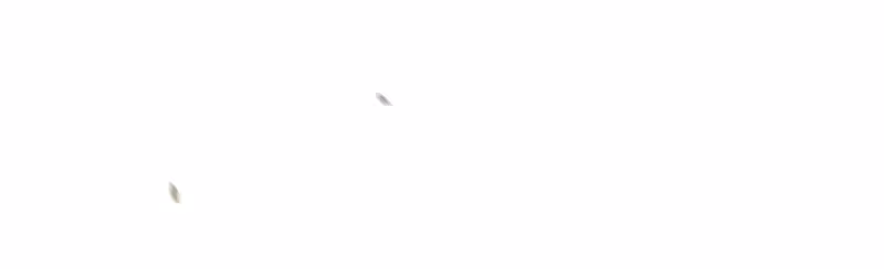 Página do Capítulo 166