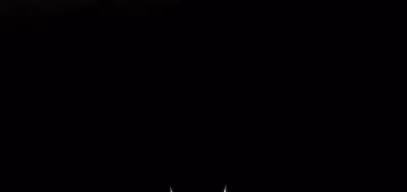 Página do Capítulo 174