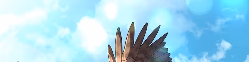 Página do Capítulo 48