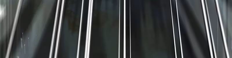 Página do Capítulo 95