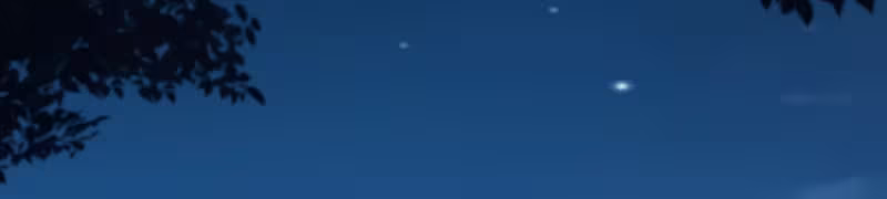 Página do Capítulo 95