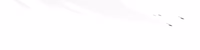 Página do Capítulo 96