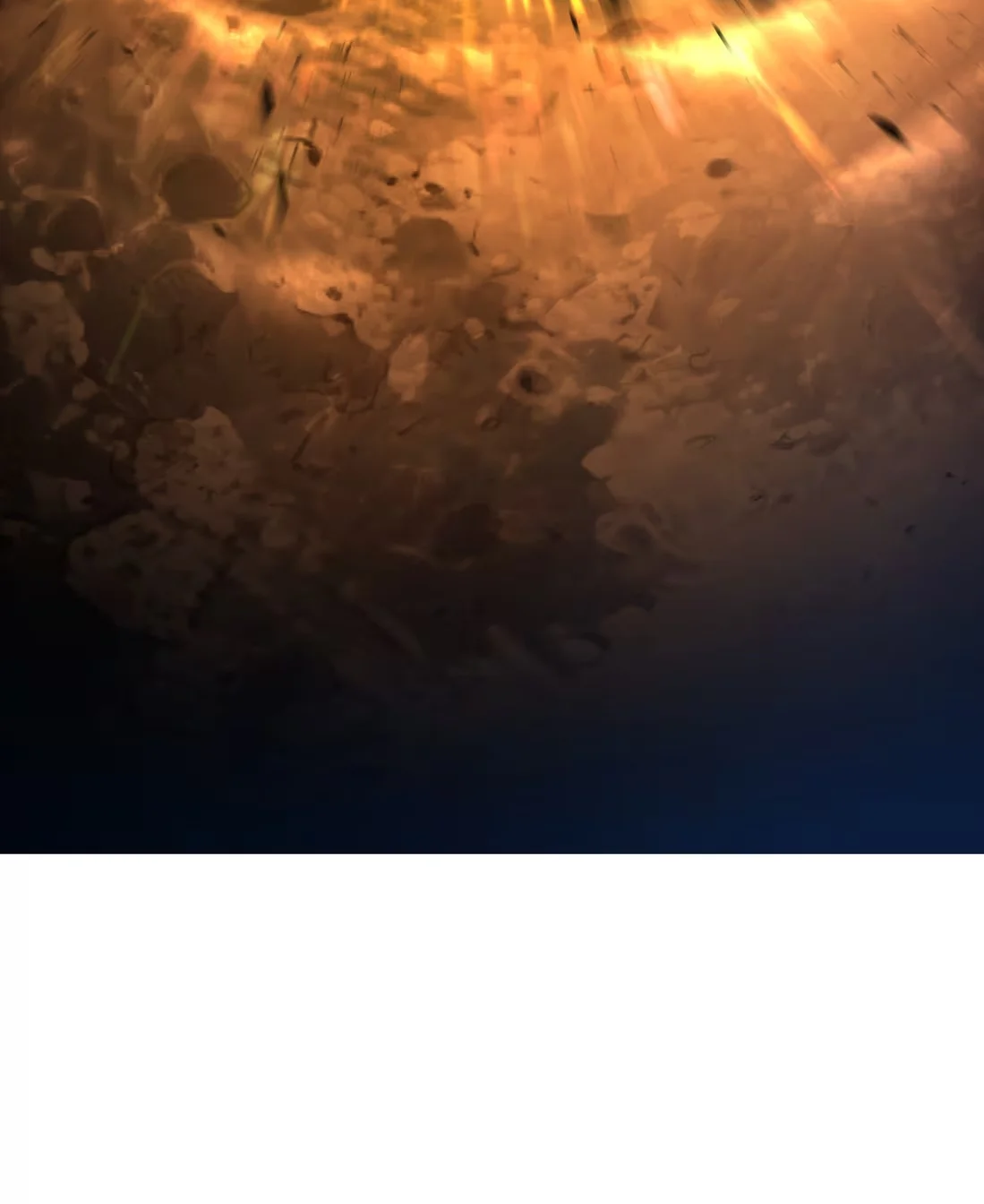 Página do Capítulo 11