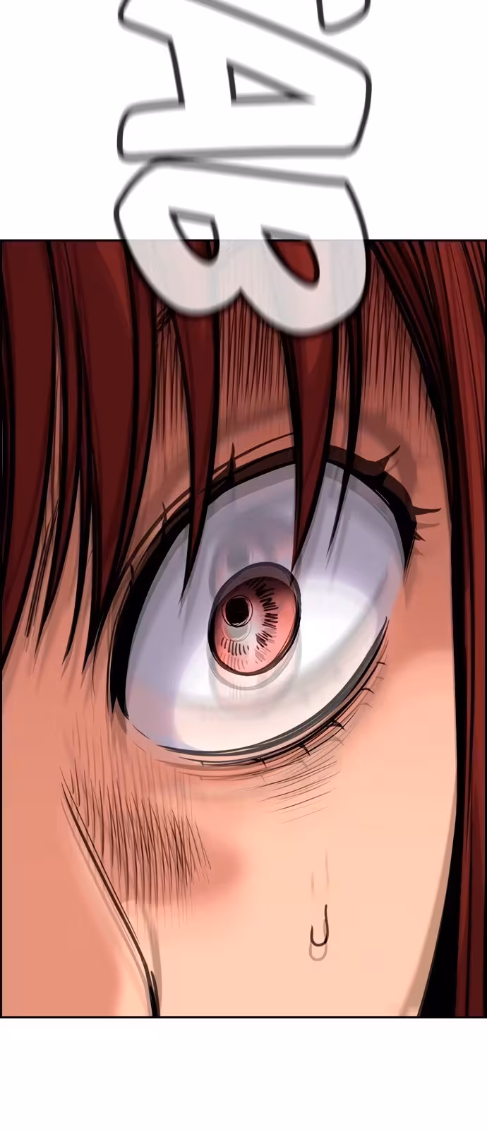 Página do Capítulo 106