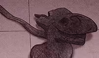Thumbnail para Cap. 20