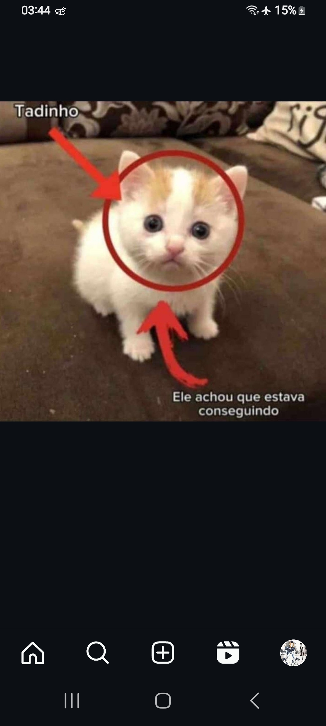 Imagem do comentário