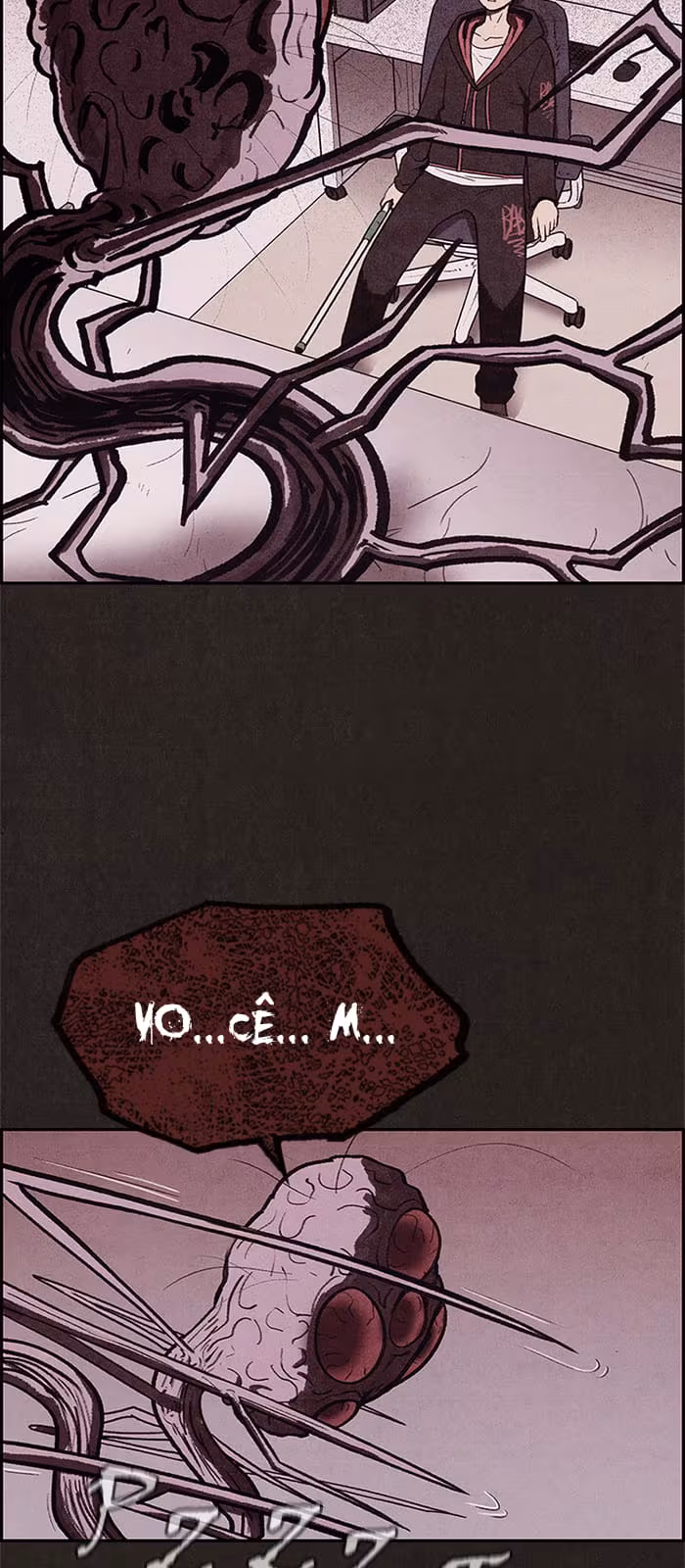 Página do Capítulo 15