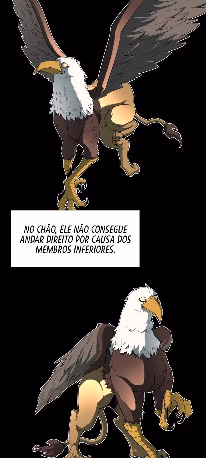 Página do Capítulo 41
